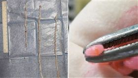 乳房,生水,曼氏裂頭絛蟲,寄生蟲,感染,生食,大陸,湖北,習慣　圖／翻攝自微博　