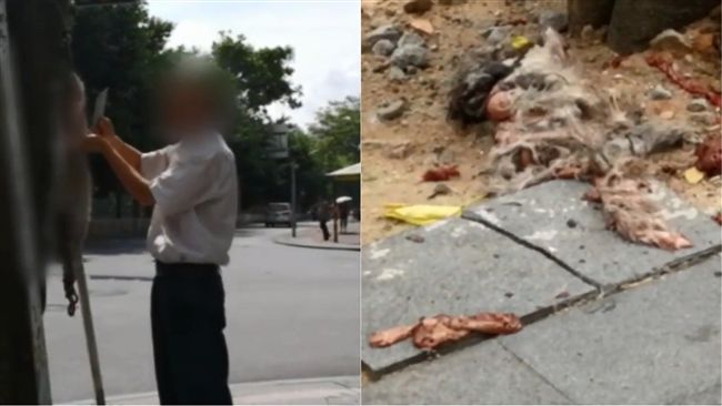 死貓吊樹頭！陸男驚見取下：要回家煮