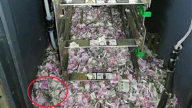 印度國營銀行ATM故障12天　鈔票被老鼠咬碎（圖／翻攝自推特）