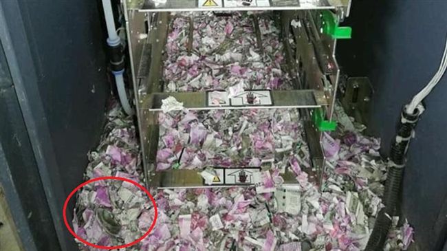 ATM壞12天才修　老鼠竟咬光鈔票