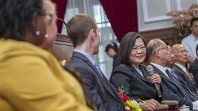 蔡英文總統20日上午接見「2018國際青年菁英領袖研習班」學員。（圖／總統府提供）