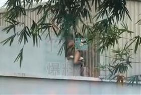 新竹一名男子全裸當街摩擦枕頭，過程全被路過民眾拍下上傳。翻攝自新竹爆料公社