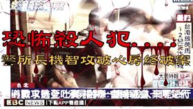 台北,分屍,性侵,殺人,棄屍,臉書,台北波麗士（圖／翻攝台北波麗士）