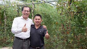 電機碩士返鄉務農　吸引外媒來台採訪（2）擁有電機碩士學位的沈朝富（右），返鄉種植牛奶小番茄，通過產銷履歷認證，8日由嘉義縣副縣長吳芳銘（左）帶領泰國媒體團前往採訪。（嘉義縣政府提供）中央社記者江俊亮傳真　107年5月8日