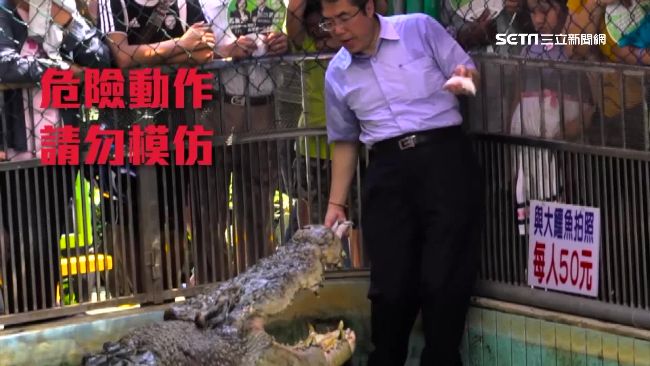 搏命餵鱷魚！南市長參選掀創意影片戰
