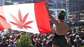 ▲加拿大娛樂用大麻將合法（圖／翻攝自Toronto Star）