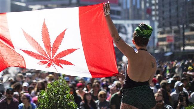娛樂大麻合法化　加拿大將成美洲第2