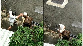 逆子！失智婦漏尿　竟慘遭兒摑掌掐頸