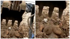 大陸,廣東,怪手,女屍,充氣娃娃／城管睇真D 粉專