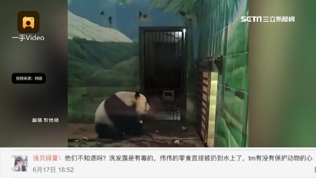 貓熊遭虐待！飼育員任遊客用木棍戳
