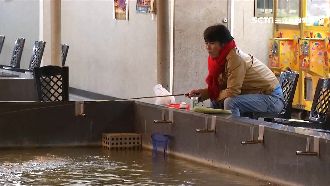 冬天釣蝦難！泰國蝦「泡湯」活力高