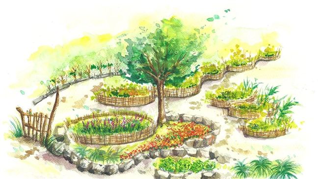 花博靠這五大元素 打造「永續家園」