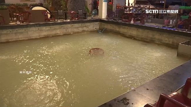 不給錢就搗亂！黑道往釣蝦池倒洗衣粉