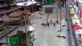 屏東,林邊,全聯,淹水,抓魚,影片,造謠,林邊鄉公所,報警提告（圖／翻攝自georgianborat's YouTube）