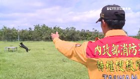 浮報搜救犬.1200