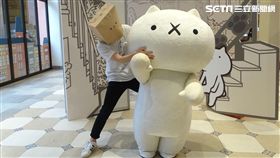 反應過激的貓特展（圖／麗寶樂園提供）
