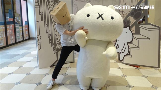 超激動作　《反應過激的貓》台灣首展