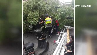 怪手施工挖倒路樹　壓3車2人送醫