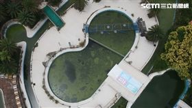 八仙塵爆,空拍,黑水池,泳池,漂漂河