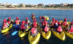 消暑玩法！夜宿海生館推出加值體驗　走入自然認識海洋