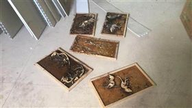 台北,裝潢工人,房子,白骨,黏鼠板,屍臭,從天而降,挫屎,裝修,化石,老鼠,爆廢公社（圖／翻攝自爆廢公社）