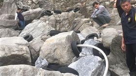 花蓮,清水斷崖,蘇花公路,廢輪胎,廢棄物清理法,吉安。翻攝畫面