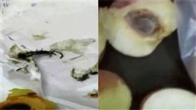 水蜜桃,超商,賠償,蜈蚣,大陸,黑龍江,嘴唇,舌吻,螫傷,提告,調解,清洗,麻痺,刺痛　圖／翻攝自騰訊視頻　https://goo.gl/6a5Z2S