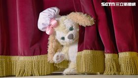 迪士尼新角色, Cookie, Duffy新朋友（圖／香港迪士尼提供）