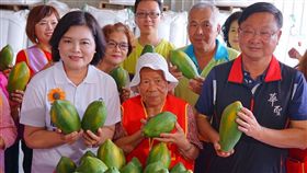 日頭花協會購贈木瓜傳愛國民黨提名雲林縣長參選人張麗善（前左）與所創立的雲林日頭花姊妹協會25日一起集資認購200箱林內木瓜捐贈給社福團體，送愛心也促在地農產行銷。中央社記者葉子綱攝  107年6月25日