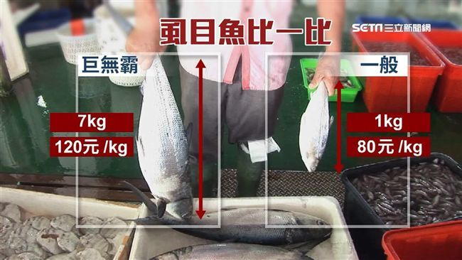 虱目魚都靠中國買？綠委：漁民不要