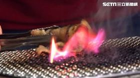 烤肉、燒烤、烤焦、罹癌、致癌物、大腸癌