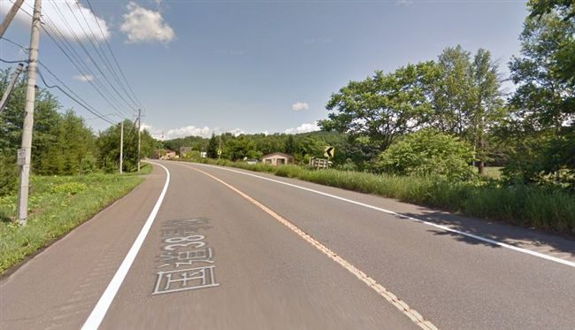 台男北海道自駕　撞飛7旬嬤遭逮捕