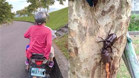 獨角仙,孫子,自然,生態,河堤,臉書,破壞
臉書
https://www.facebook.com/groups/417448558342421/permalink/1766639843423279/?comment_tracking=%7B%22tn%22%3A%22O%22%7D