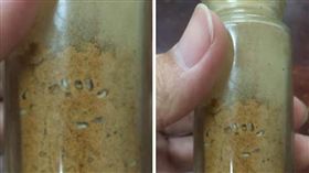 外食族,調味罐,白芝麻,蛆,蠕動,蛋白質（圖／翻攝自爆廢公社）