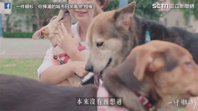為愛付出一輩子！夫妻救220隻浪浪