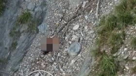 花蓮,墜崖,夫妻,內湖,紡織（翻攝畫面）