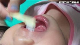 台南市衛生局,乳齒,蛀牙,牙齦,恆齒,牙痛,口臭