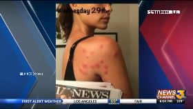 V辣模紅豆冰1200