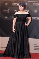 29屆金曲獎星光大道張秀卿。（記者邱榮吉/攝影）