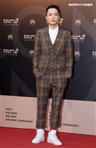 29屆金曲獎星光大道。（記者邱榮吉/攝影）