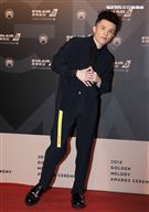 29屆金曲獎星光大道宋念宇。（記者邱榮吉/攝影）