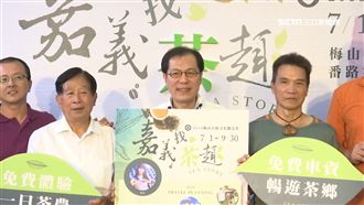 來嘉義「找茶」　高海拔消暑茶農體驗