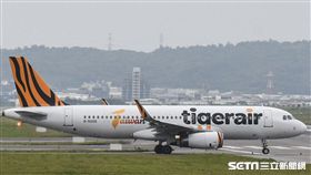 臺灣虎航。 圖／記者林敬旻攝