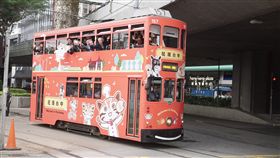 台中花博,花博,香港叮叮車,飛機,華信航空（台中市政府提供）