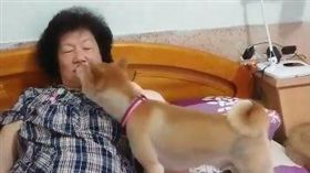 ［翻攝自「Yuuna的花柴小鋪」臉書］