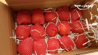 玉井芒果岡山寄出？ 網購爆產地造假