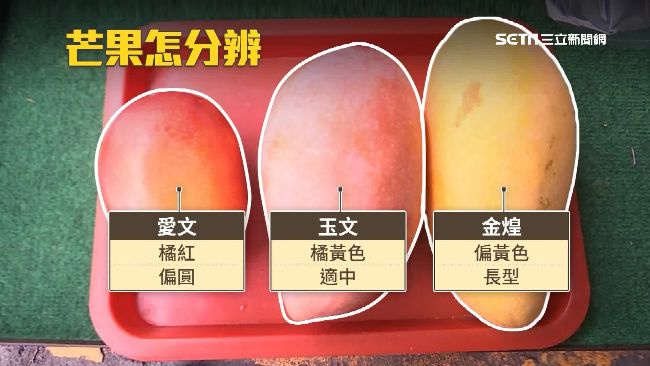 芒果季PK　「玉文」甜、「愛文」香