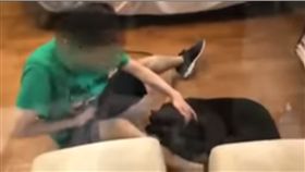 塞零食誘舔褲襠！視障男騙收養猥褻狗狗
youtube