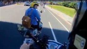 爆料公社,三寳,行車紀錄器,日曬,紅燈（圖／翻攝爆料公社）
