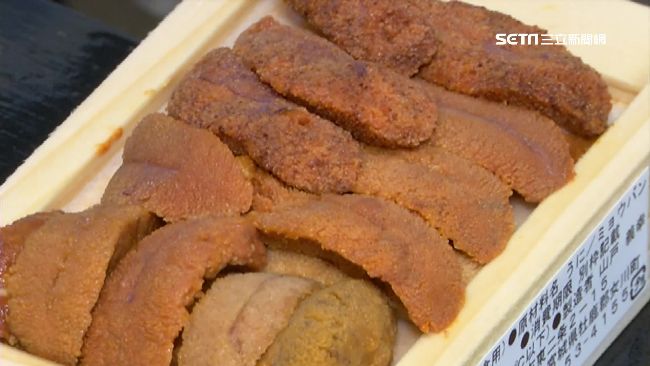 海膽也分品質！這品種比馬糞海膽更貴